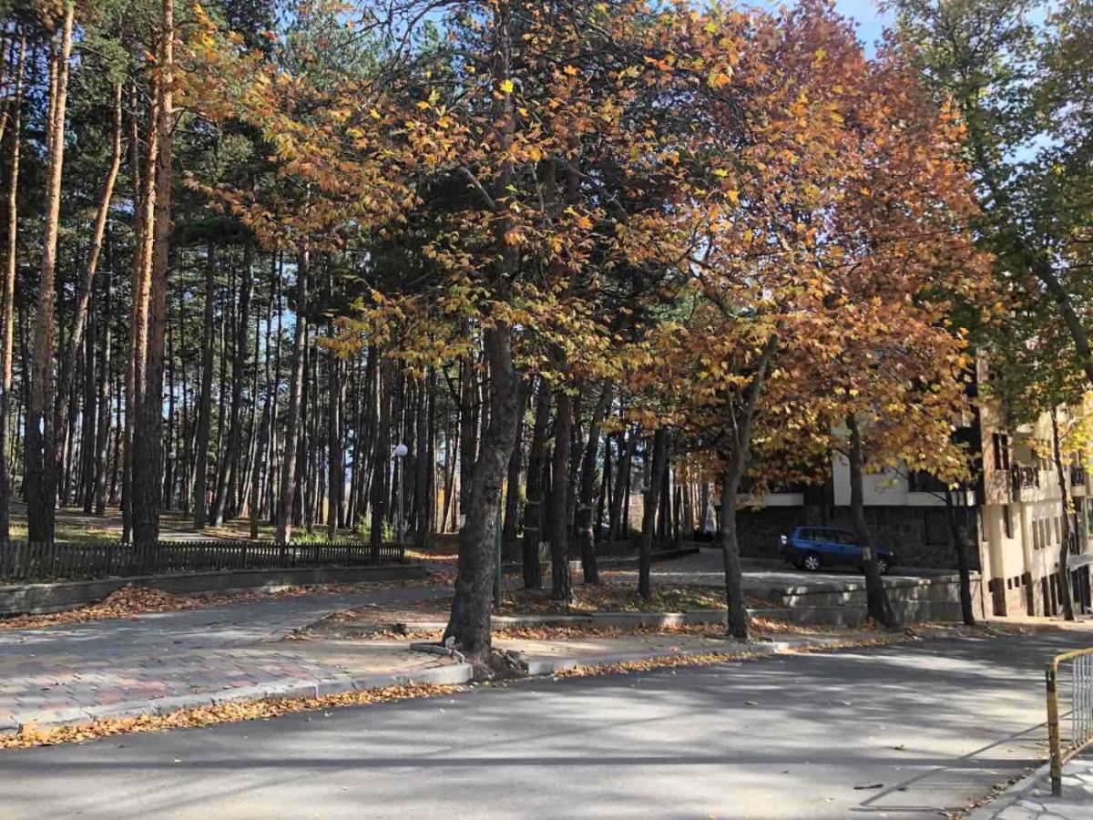Апартаменти Borov Park 1 Велинград Екстер'єр фото