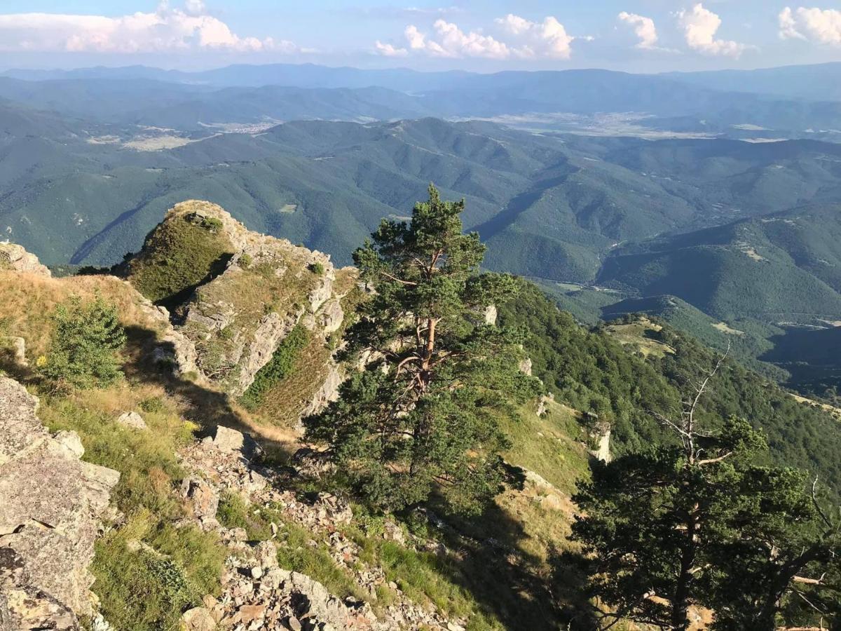 Апартаменти Borov Park 1 Велинград Екстер'єр фото